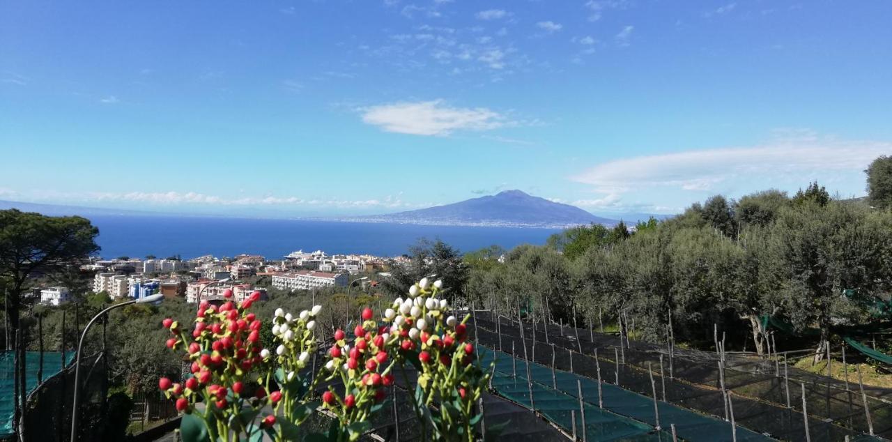 Sorrento Dolce Casa Apartment ภายนอก รูปภาพ