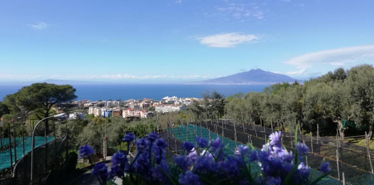 Sorrento Dolce Casa Apartment ภายนอก รูปภาพ