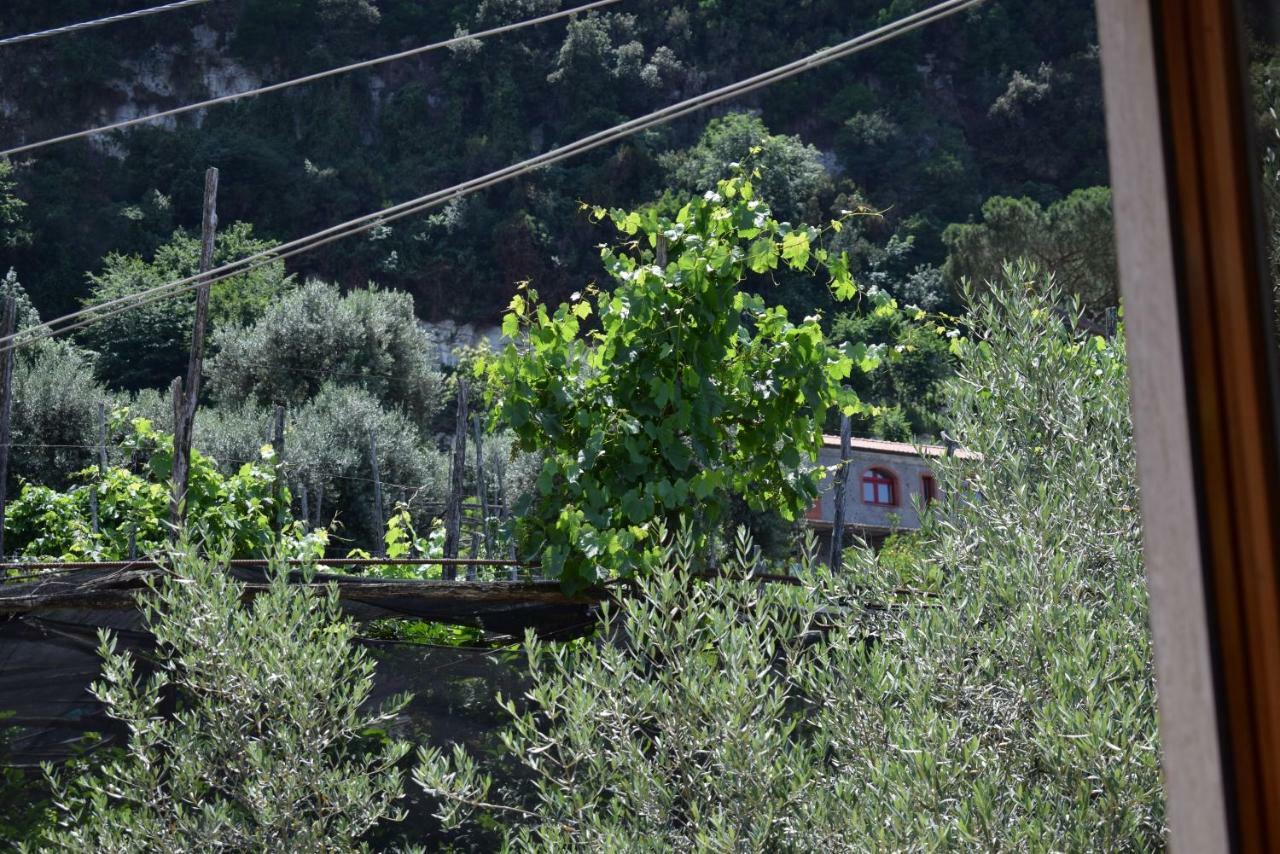 Sorrento Dolce Casa Apartment ภายนอก รูปภาพ